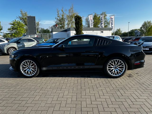 Ford Mustang  USA Shelby Optik