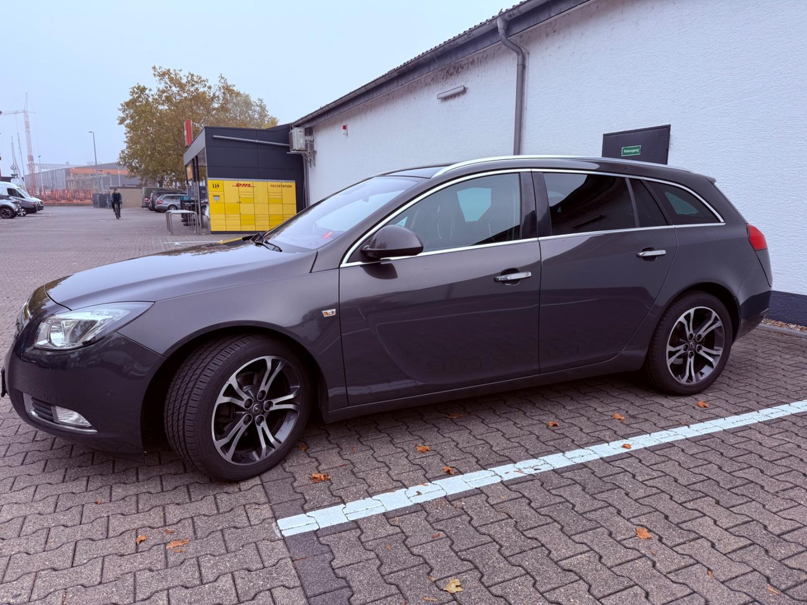 Opel Insignia 2013 — вигляд ззаду