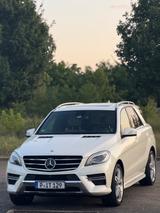 Mercedes-Benz ML 350 BlueTEC 4MATIC - AMG Liebhaber Fahrzeug