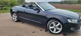 Audi A5 Cabriolet 3,0 TDI Quattro S-Line