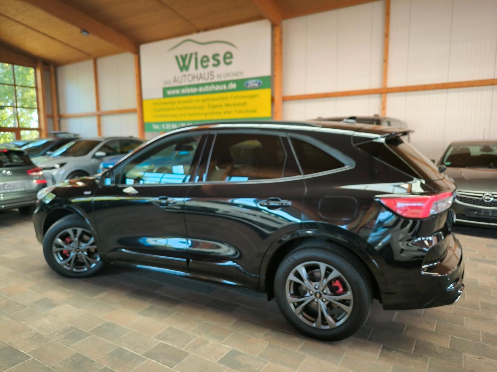 Ford Kuga 2,5 FHEV AWD ST-Line X,Pdach,IACC,HUD