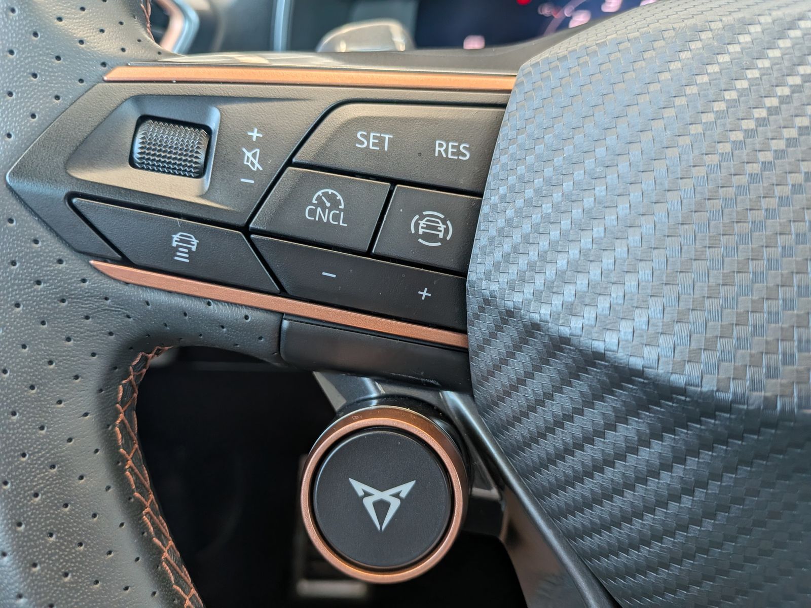 Fahrzeugabbildung CUPRA Leon 1.5 eTSI Dynamic-Edge-Paket Pano Cam AHK 18