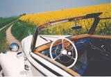 Mercedes-Benz MB 170 A Sportcabrio Bj52  in Kiel - aus 1952: Roadster
