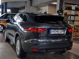 Jaguar F-Pace LED*SHZ*PDC*R.Cam*Navi*Tempomat*Leder* - Jaguar F-Pace SUV