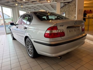 BMW 316 - 11