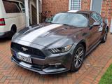 Ford Mustang 2.3 Coupe Aut-+Keyless+Kamera+Bi-Xenon+ - Ford Mustang