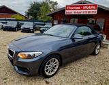 BMW 218i Cabrio Advantage Automatic Leder - gebrauchte BMW 218 aus dem Jahr 2017
