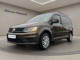 Volkswagen Caddy Maxi Kasten 2.0 TDI (2 Schiebetüren/AHK/AC - : Van, Schiebetüren