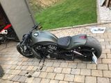 Harley-Davidson VRSCDX Night Rod Special - Offers matching your search criteria