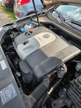 Volkswagen Golf 1.6 FSI Individual Individual - Volkswagen Golf: Individual