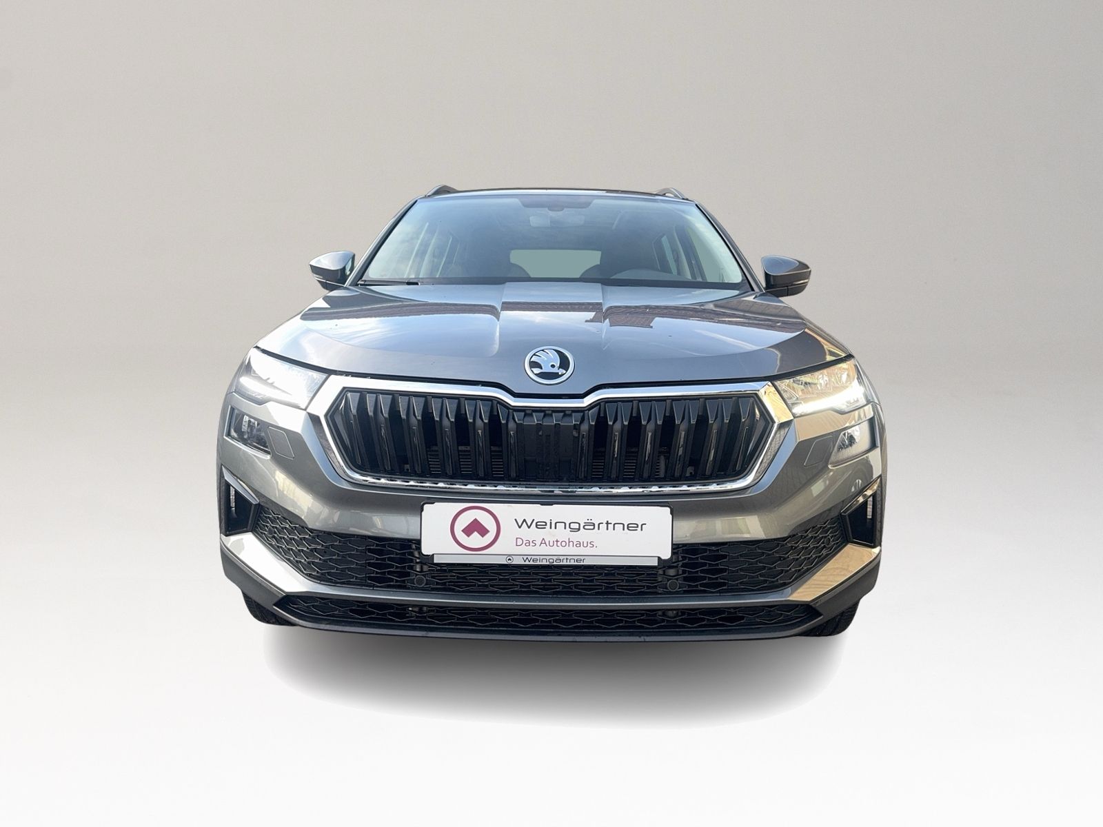 Karoq 2.0 TDI Style 4x4, AHK, PANO, Standheizung