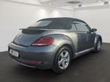 Volkswagen Beetle Cabriolet DESIGN 1.2TSI NAVI+2xPDC+SITZHZ - gebrauchte VW Beetle aus dem Jahr 2018