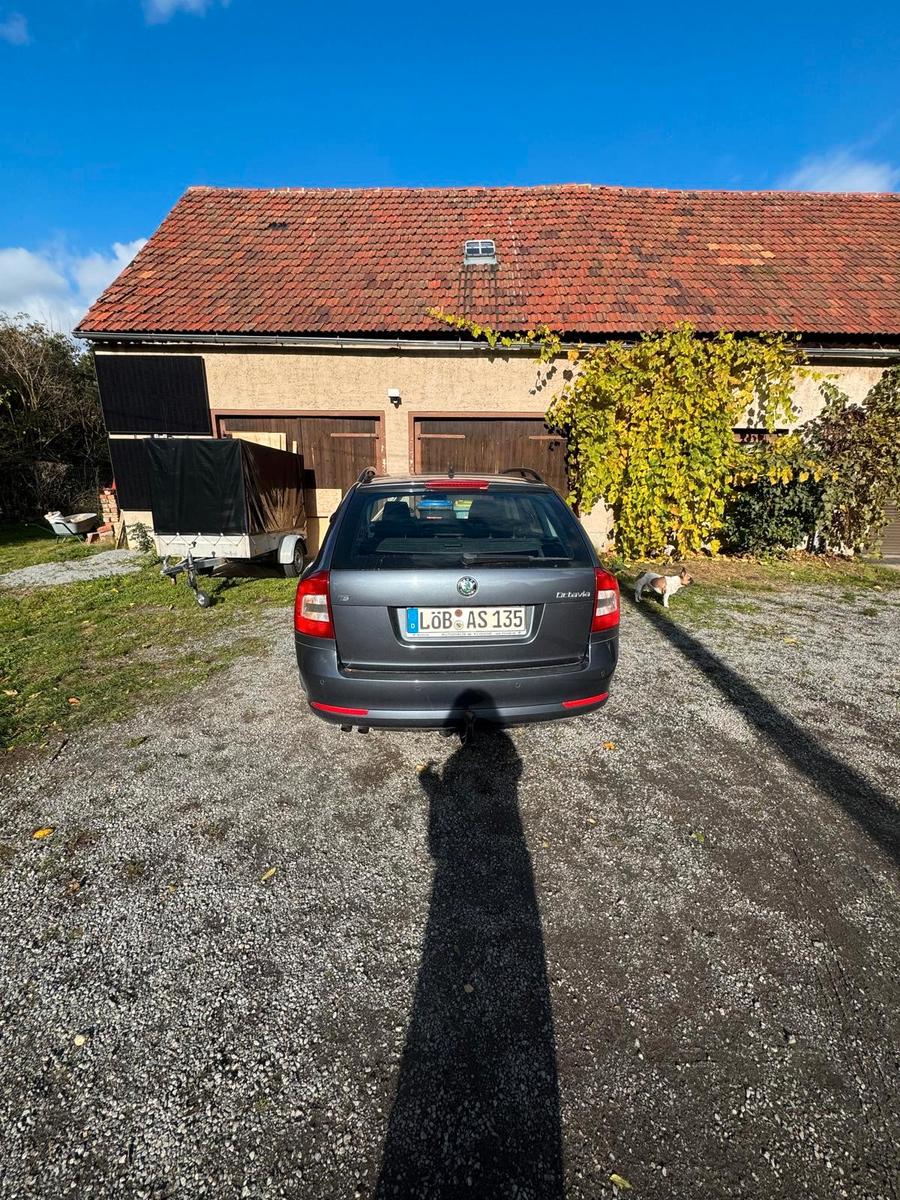 Skoda Octavia 2009 — photo 8