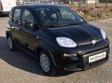 Fiat Panda MY24 1.0 Klima PDC Citypaket - Fiat Panda: My