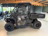 Can-Am Traxter XU HD10 T 2024 Kabine Heizung Service - Angebote