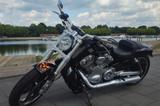 Harley-Davidson V-Rod Muscle Sondermodell Tüv & Inspektion NEU - Offers matching your search criteria