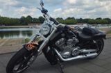 Harley-Davidson V-Rod Muscle Sondermodell Tüv & Inspektion NEU - Offers matching your search criteria