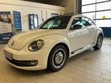 Volkswagen Beetle 1.4TSI Sport+PANORAMA+NAVI+PDC+TEMPOM.+ - VW Beetle Gebrauchtwagen in Bremen