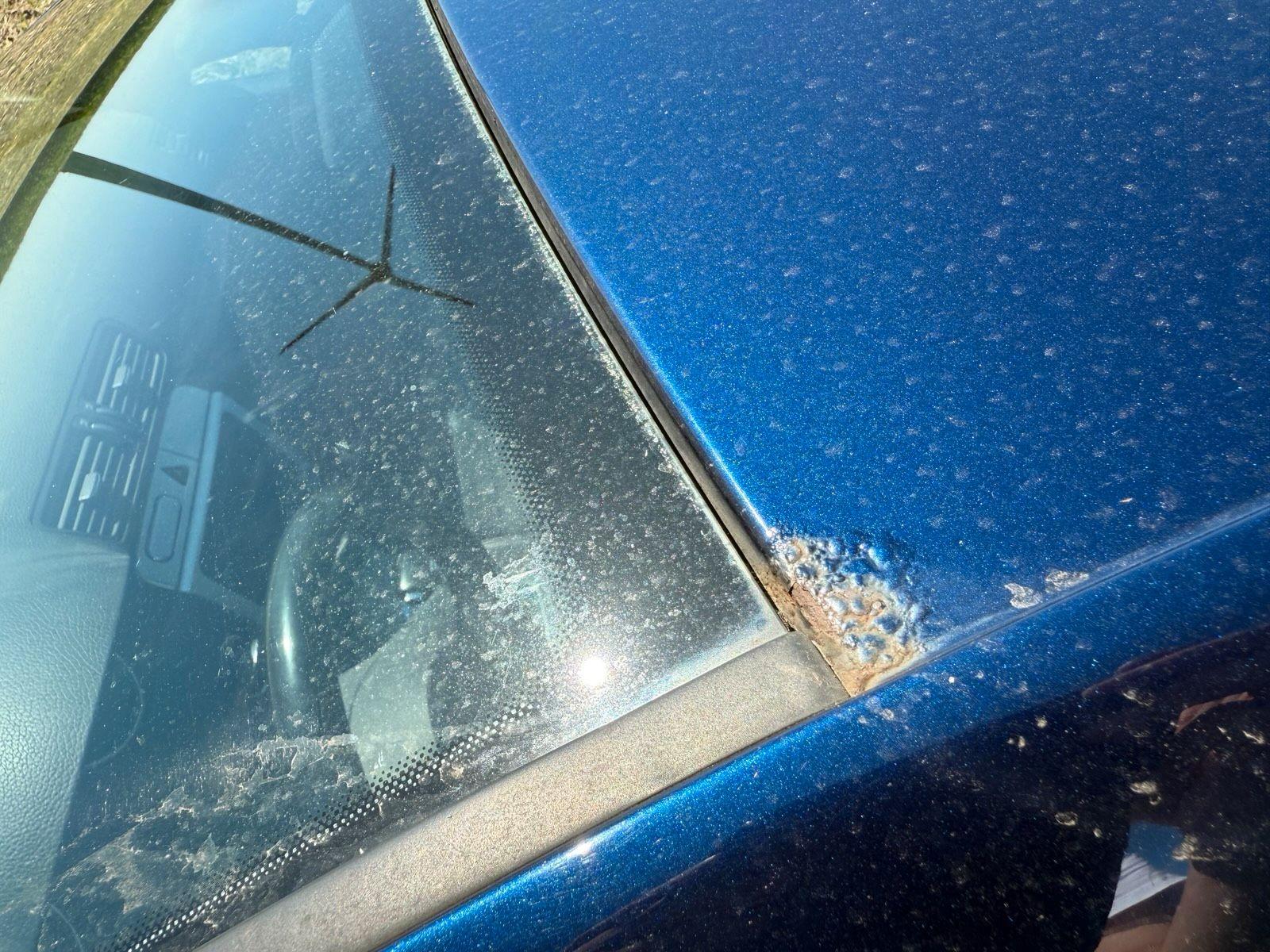 Volkswagen  2010 — photo 8