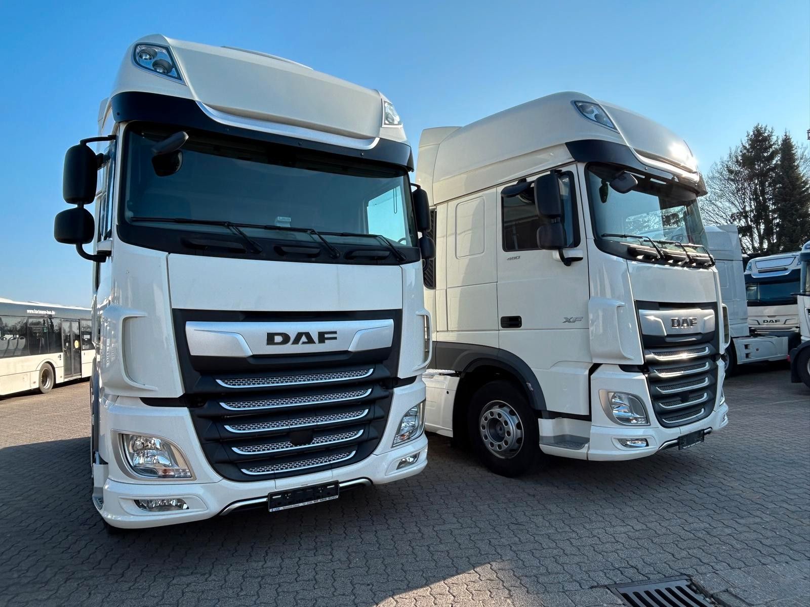 Fahrzeugabbildung DAF 4 x XF 480 FT SSC, Intarder, Bj. 2023