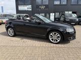 Audi A3 Cabriolet Ambition 1,8T Schalter SHZ Klima - Audi A3 aus 2010: Cabrio