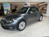 Volkswagen Beetle(Käfer) Cup 1.2TSI 105PS*SH E-DACH TEL EPH - Volkswagen: Kaefer