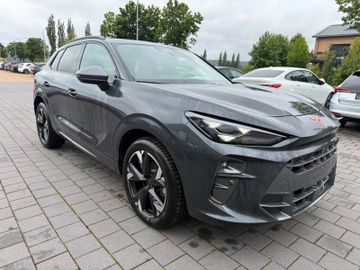 Cupra Terramar - 3