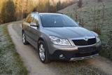 Skoda Suche Skoda Octavia 4x4 / Scout - Skoda Octavia aus 2008: Scout