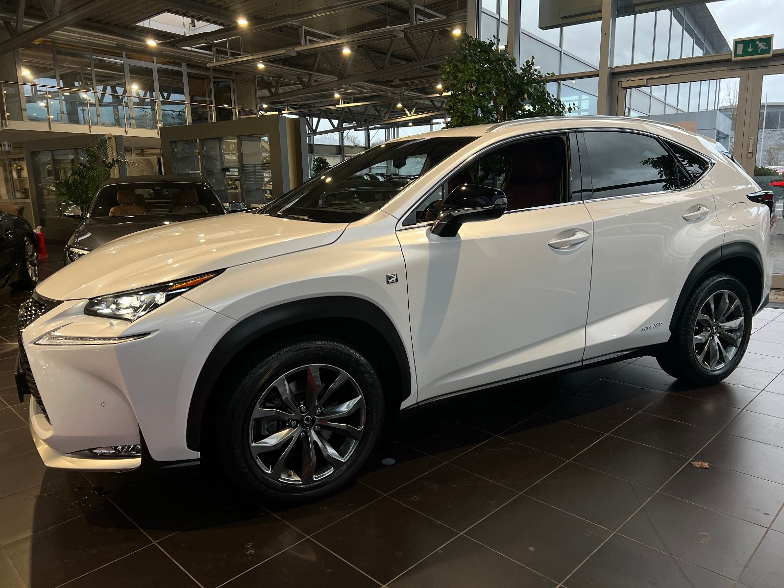 Fahrzeugabbildung Lexus NX 300h E-FOUR F Sport ACC HUD LEDER