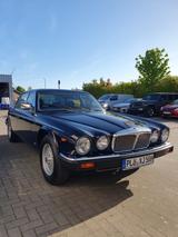 Jaguar Daimler Double Six Original 67.000Km - Jaguar aus 1993