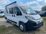 Sun Living V 55 SP MJ 2025 *Bestand* - Neu Kastenwagen