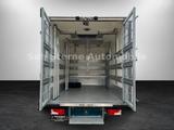 Mercedes-Benz Sprinter 316 CDI"Maxi"Tiertransport+ Thermo King - Mercedes-Benz The
