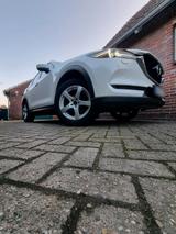 Mazda mazda cx5 Skyactiv-G165 (18100) 2.0 benzi... - Mazda: Mazda5