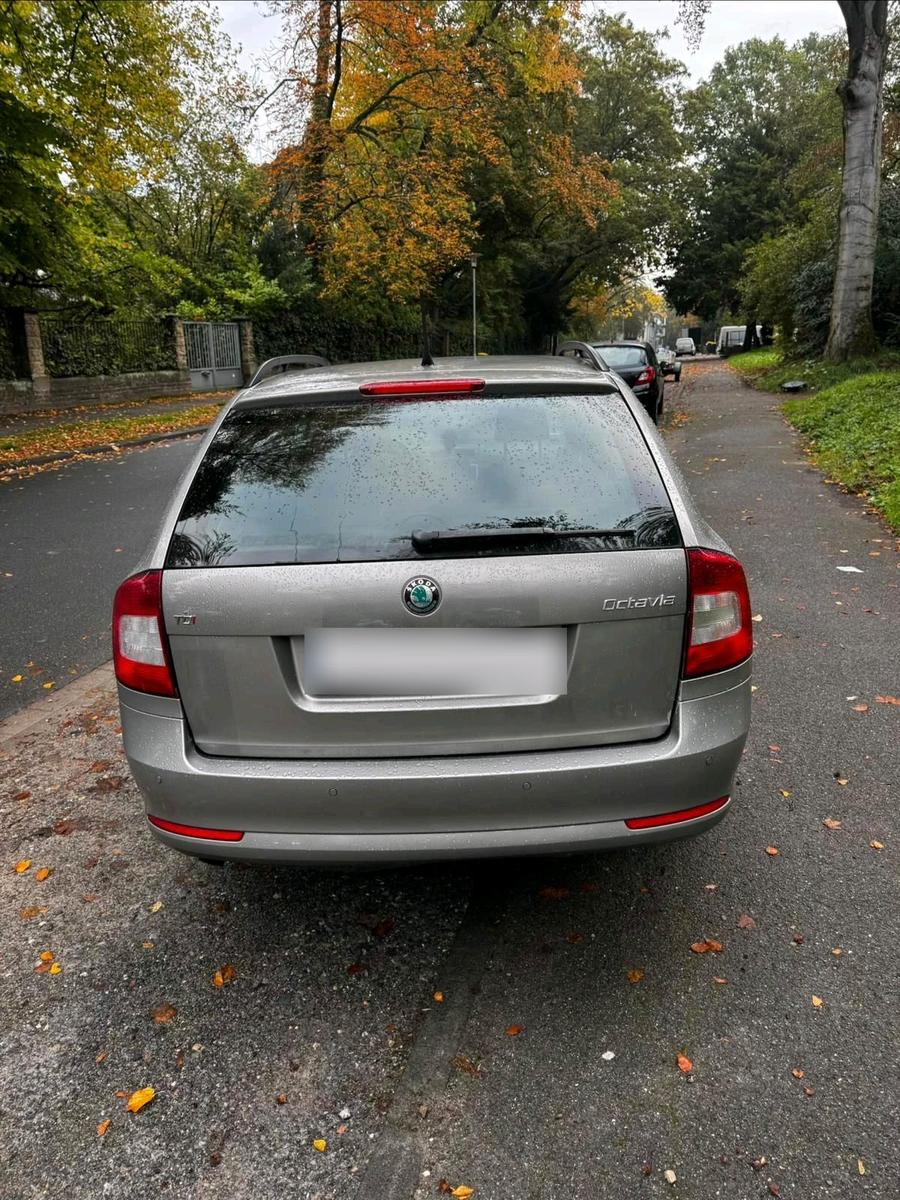 Skoda Octavia 2012 — photo 6