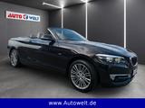 BMW 218i Cabrio Luxury Leder LED Nav Sitzhz Klima - : Braun, Ambiente-Beleuchtung