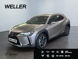 Lexus UX 250h Style Edition Bi-LED*ACC*CAM*SHZ*CarPlay - Lexus UX in Bremen