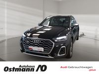 Audi SQ5 - Vorschau Bild 1