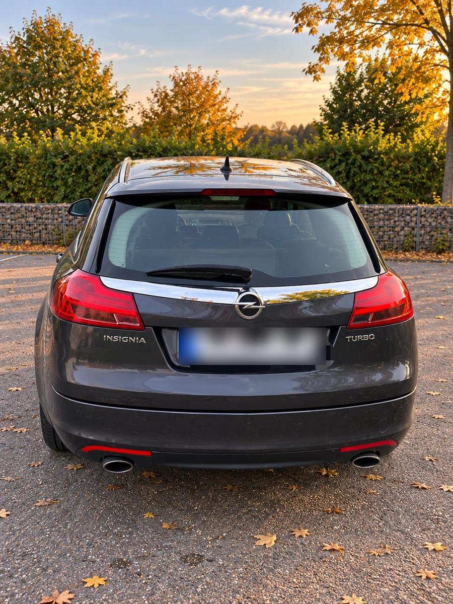 Opel Insignia 2009 — engine 220 HP (162kW)