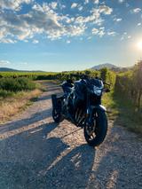 Suzuki GSX-S750 | 1. Hand | wenig km | unfallfrei  - SUZUKI 750