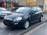 Fiat Punto Evo - blaue Fiat Punto Evo