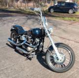 Harley-Davidson EVO Softtail CustomBike  - HARLEY-DAVIDSON EVO