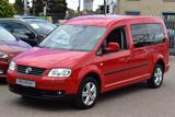 Volkswagen Caddy Maxi Life Gewinner 1.Hand|SI-Hzg|Klimaaut. - Volkswagen Caddy: Gewinner
