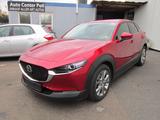Mazda CX-30 e-SKYACTIV-G M-Hybrid 150 Exclusive-Line - Mazda CX-30 Gebrauchtwagen in Köln