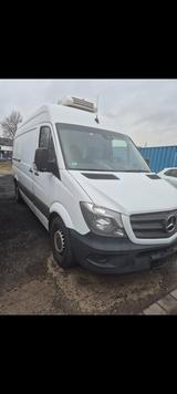 Mercedes-Benz Sprinter II Kasten 310/311/313/314/316 CDI - Mercedes-Benz Sprinter: 313