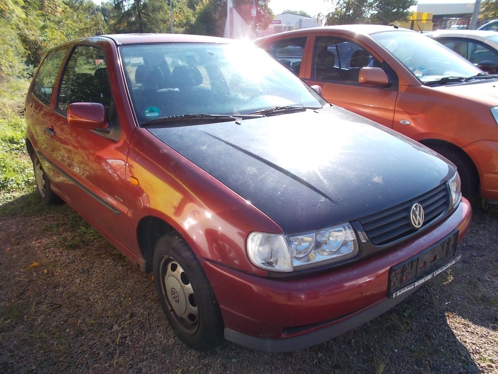 Fahrzeugabbildung Volkswagen Polo 1.0 45 PS + wenig Kilometer