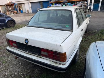 BMW 316 - 4