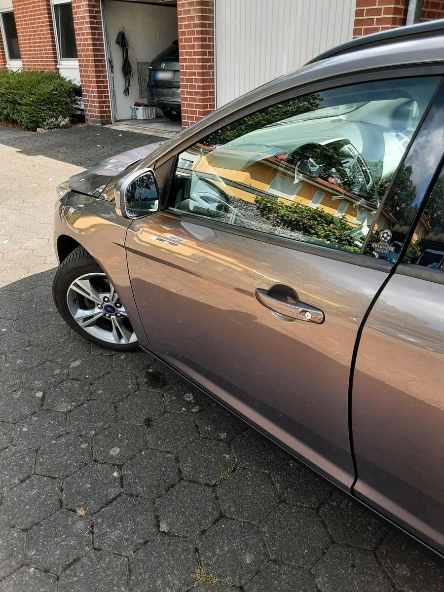 Ford Focus 2013 — photo 6