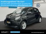 Smart Forfour EQ PURE NAVI+22KW LADER+PTS+DAB+TEMPOMAT - Smart ForFour: Pure
