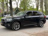 BMW X5 xDrive30d M-Sitze 360° H&K Spur LED Xenon SHZ - BMW X5: Sitze