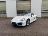 Porsche Cayman Basis - Porsche Cayman aus 2015